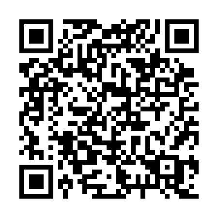 QR code for plate 233-SFB