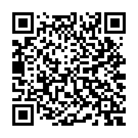 QR code for plate 234-RPH