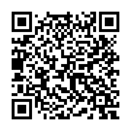 QR code for plate 238-JZV