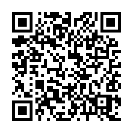 QR code for plate 241-YYS