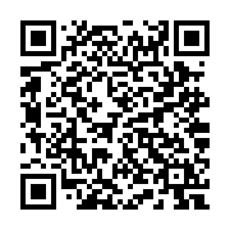 QR code for plate 246-PAX