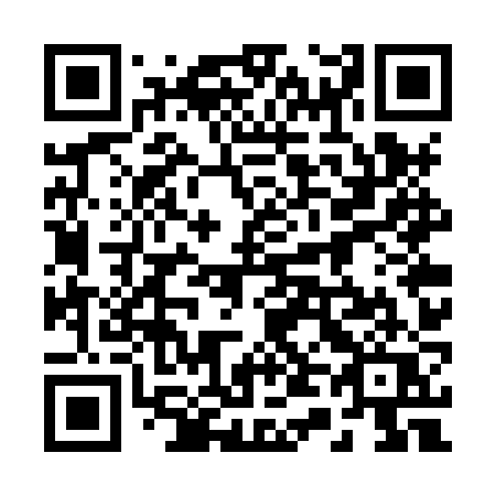 QR code for plate 247-XZQ