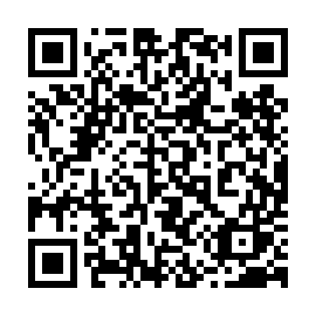 QR code for 250TES