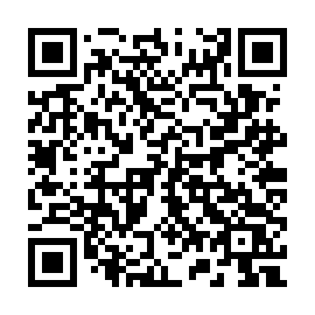 QR code for 272-UDS