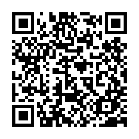 QR code for plate 273-DML