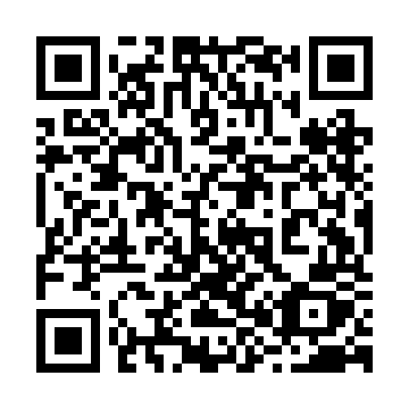 QR code for plate 289-BOZ
