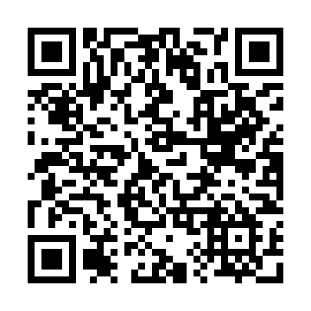 QR code for 290-INM