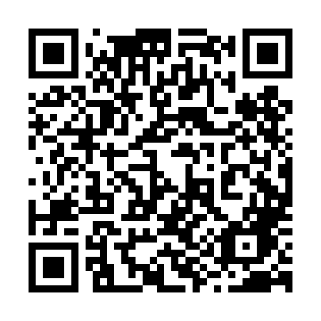 QR code for plate 290-DLG