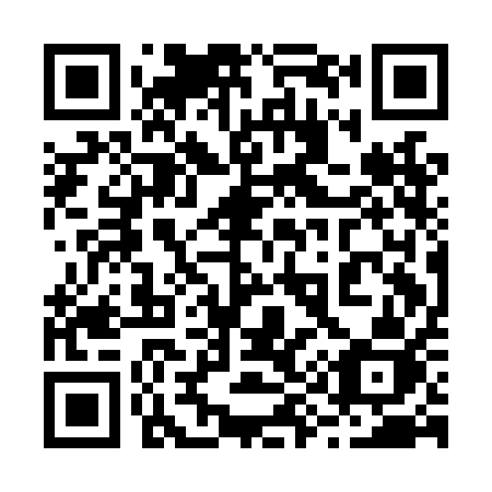 QR code for plate 291-LAJ