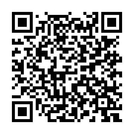 QR code for plate 291-NLG