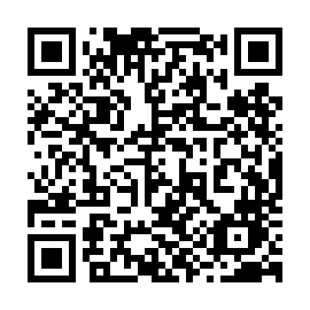 QR code for plate 291-TNN