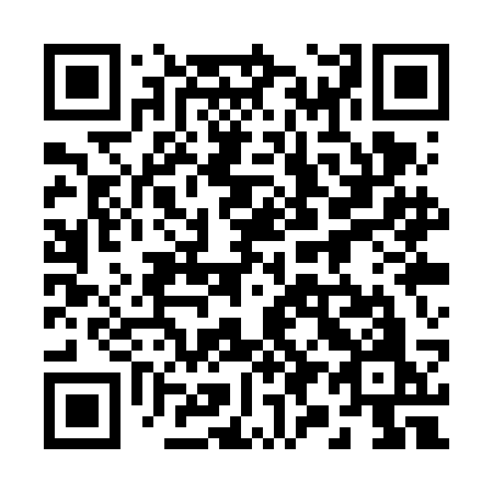 QR code for plate 291-VCO