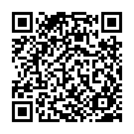 QR code for 293CIN