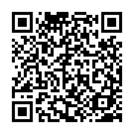 QR code for 294-LTI
