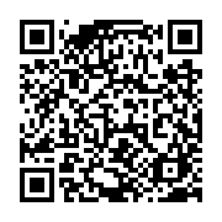 QR code for plate 294-GYC