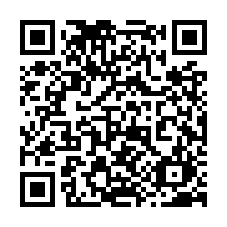 QR code for plate 294-ORL