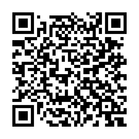 QR code for 295-DGF