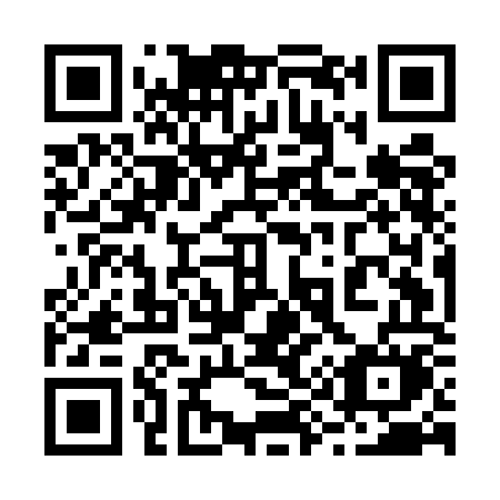 QR code for 295-EOM