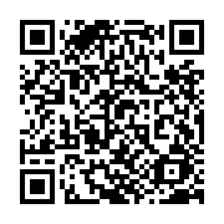 QR code for 295-OJJ