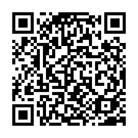 QR code for 295-QUI