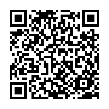 QR code for 295-SHO