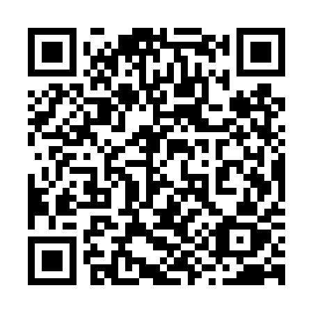 QR code for 295-TQZ