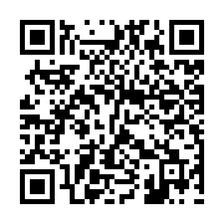 QR code for plate 295-KRQ