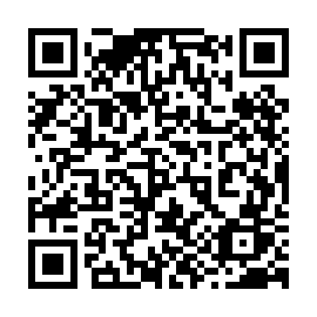 QR code for 295PGR