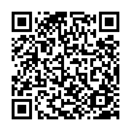 QR code for plate 295-UJR