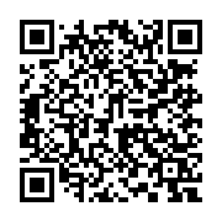 QR code for 300-LNS