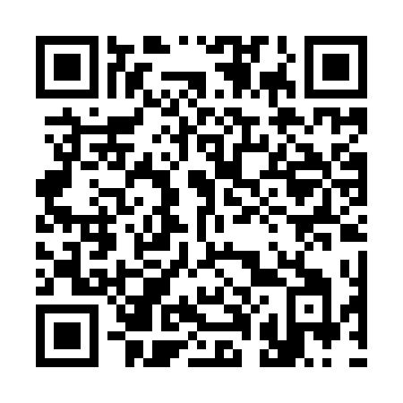 QR code for plate 300-ITI