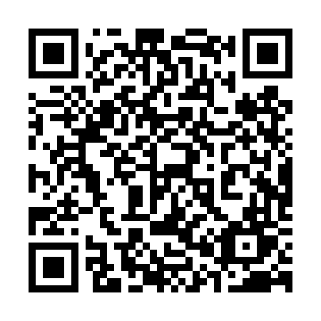 QR code for plate 300-TVT