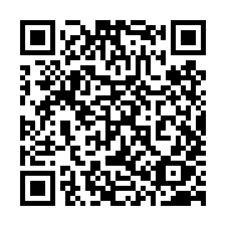 QR code for plate 302-TXX