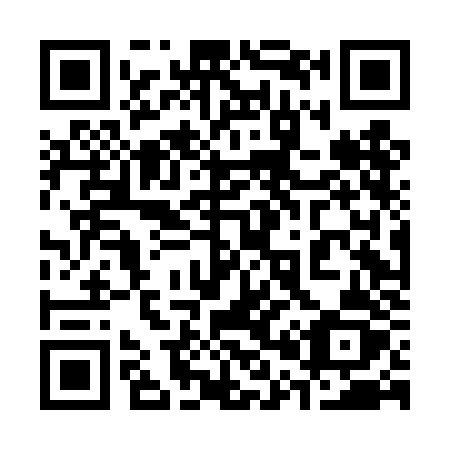 QR code for plate 304-DJZ