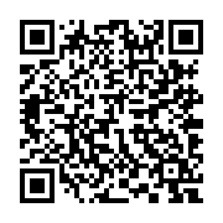 QR code for plate 304-XIV