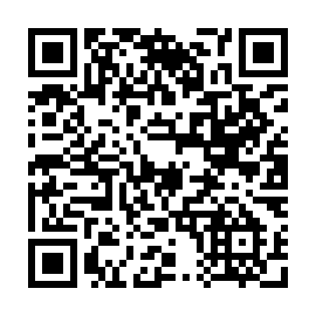 QR code for 306IMM