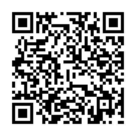 QR code for 309-SIY