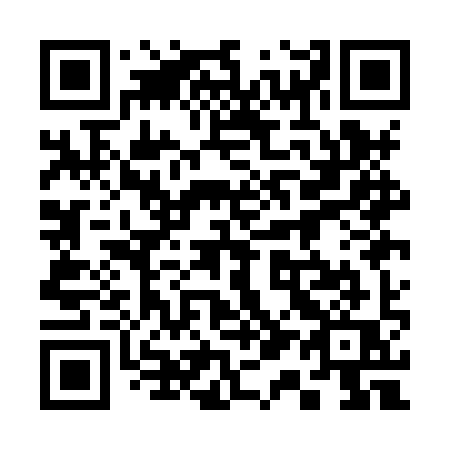 QR code for 311-HYQ