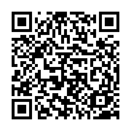 QR code for 311-IVU