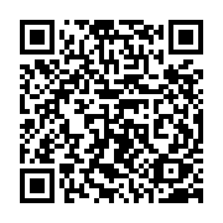 QR code for 311-MEX