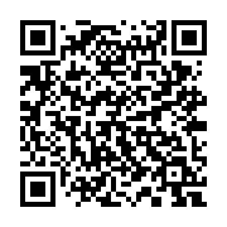 QR code for 311-VIL