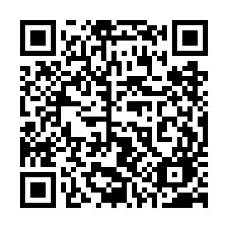 QR code for plate 311-GEG