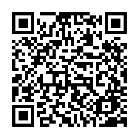 QR code for 313-HOG
