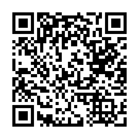 QR code for 313-LFQ