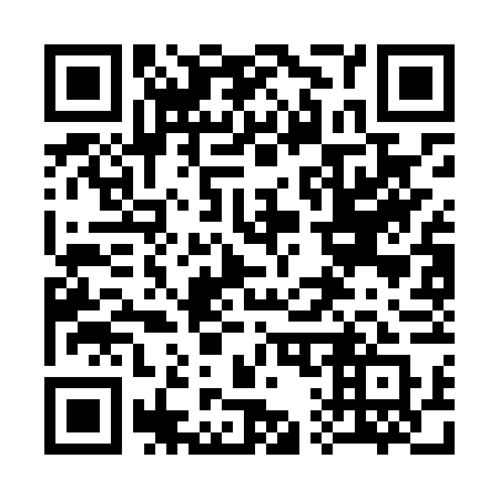 QR code for 313-LVQ