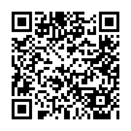 QR code for 313-NCO