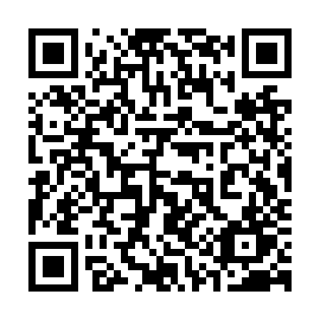 QR code for 313-NZT