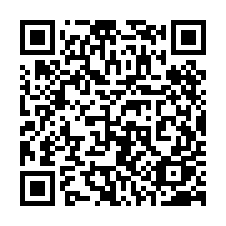 QR code for 313-PEP
