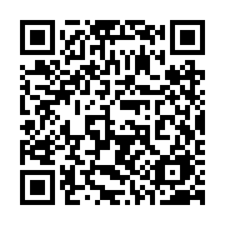QR code for 313-RRE