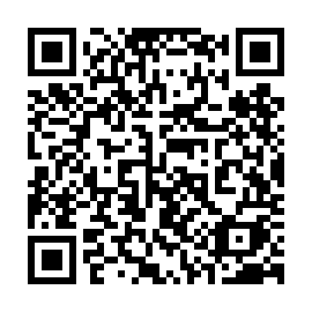 QR code for 313-TOI